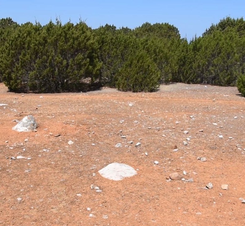 Πωλείται Νησί στο Αιγαίο Πέλαγος