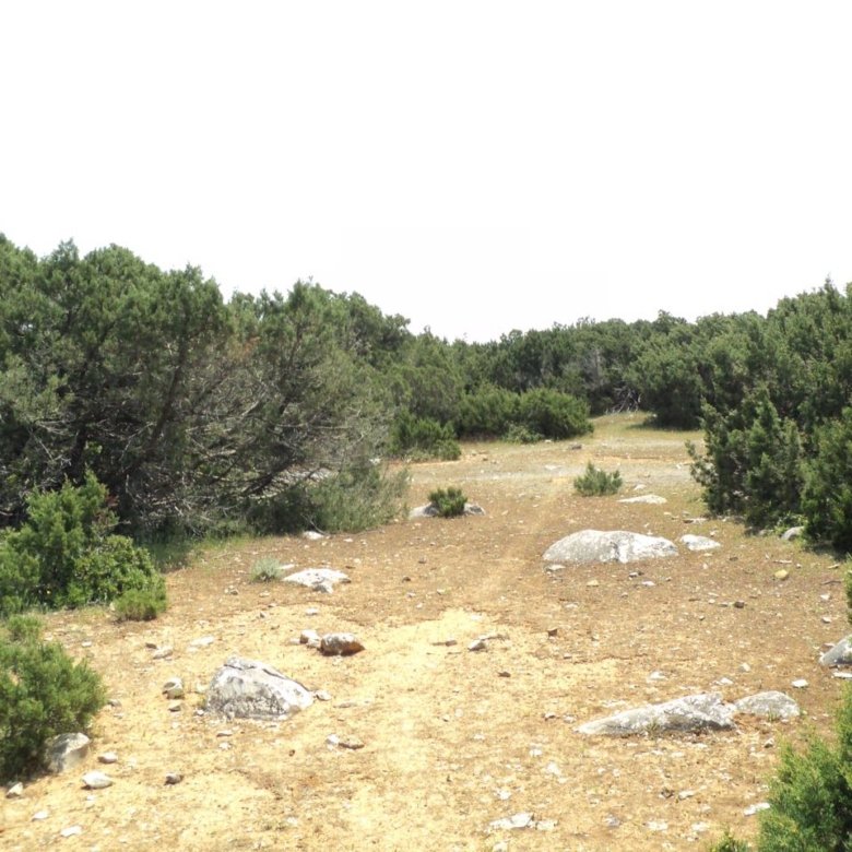 Πωλείται Νησί στο Αιγαίο Πέλαγος