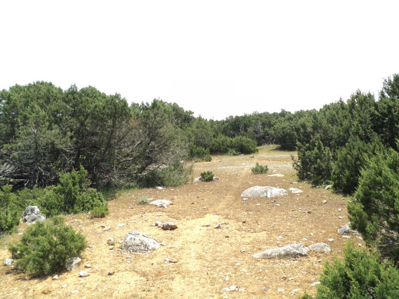 Πωλείται Νησί στο Αιγαίο Πέλαγος